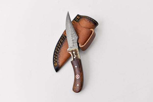 Damascus Steel Skinner Knife, Stag & Walnut Grip by Titan Td-340