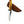 Load image into Gallery viewer, Carbon Skinning/Hunting Knife TC-59