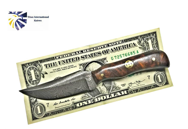 Damascus Steel Skinner Knife, Rosewood Grip BY TITAN TD-178