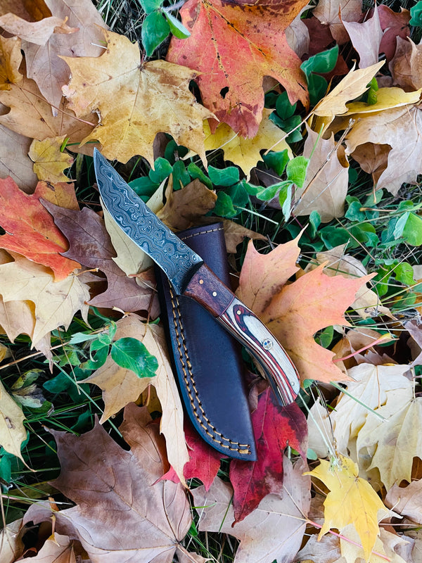 Hand forged knife, Damascus knife, Drop- Style blade, Black Walnut and Diamond Wood Scales Hunting knife by Titan TK-044 (1)