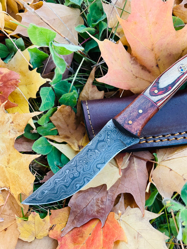 Hand forged knife, Damascus knife, Drop- Style blade, Black Walnut and Diamond Wood Scales Hunting knife by Titan TK-044 (1)