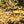 Load image into Gallery viewer, Carbon Skinning/Hunting Knife TC-59