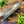 Load image into Gallery viewer, 5-Piece Damascus & Arylic Knife Set / With Leather carry Bag