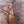 Load image into Gallery viewer, Arrival TD-314 Kukri Compact Camp Style