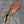 Load image into Gallery viewer, Arrival TD-314 Kukri Compact Camp Style