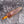 Load image into Gallery viewer, Arrival TD-311 Compact Boot Dagger