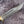 Load image into Gallery viewer, Arrival TD-309 Leather Bowie