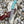 Load image into Gallery viewer, Arrival (New) TD-706