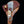 Load image into Gallery viewer, Arrival (New) TD-704