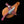 Load image into Gallery viewer, Arrival (New) TD-703