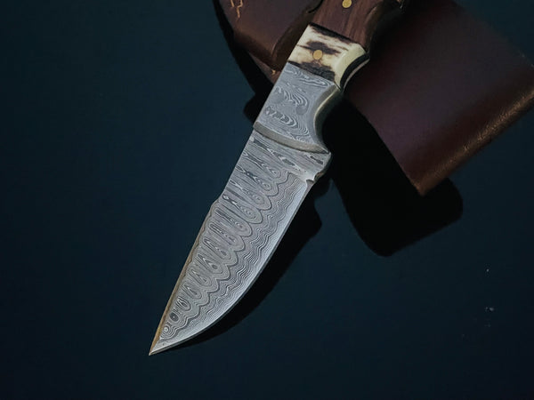 DAMASCUS STEEL FIXED BLADE KNIFE WITH WALNUT & STAG HORN HANDLE HUNTING KNIFE MINI TD-159X