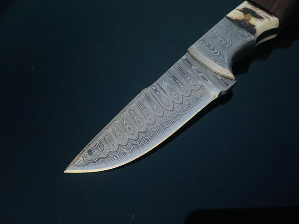 DAMASCUS STEEL FIXED BLADE KNIFE WITH WALNUT & STAG HORN HANDLE HUNTING KNIFE MINI TD-159X