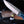 Load image into Gallery viewer, Titan Azura Custom knife/ hunting knife/ Carbon steel skinning knife/ camping/ utility knife with Blue Diamond Wood handle.
