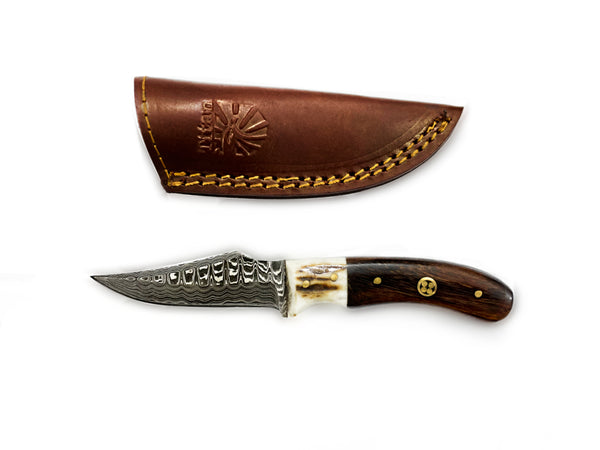 Damascus Steel Skinner Knife, Stag & Walnut Grip by Titan Td-340