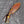 Load image into Gallery viewer, Arrival TD-314 Kukri Compact Camp Style
