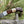 Load image into Gallery viewer, POCKET KNIFE WALNUT WOOD &amp; STAG 6.5&#39;&#39; DAMASCUS STEEL KNIFE STEEL BOLSTER BACK LOCK FOLDING KNIFE
