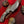 Load image into Gallery viewer, Damascus Steel Skinning Knife/ Hunting Companion/ Titan Bud
