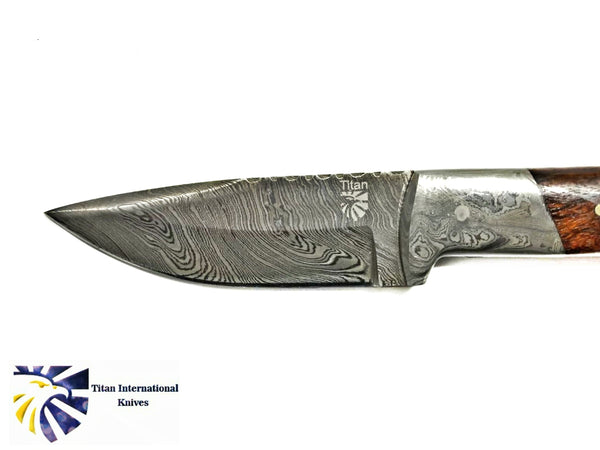 DAMASCUS KNIFE/ TITAN/ CAMP/ HUNTING KNIFE / Walnut  TD-191