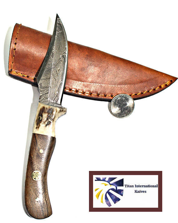 Damascus Steel Skinner Knife, Stag & Walnut Grip by Titan Td-340